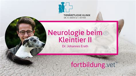 Neurologie beim Kleintier Teil II fortbildung vet Fortbildung für