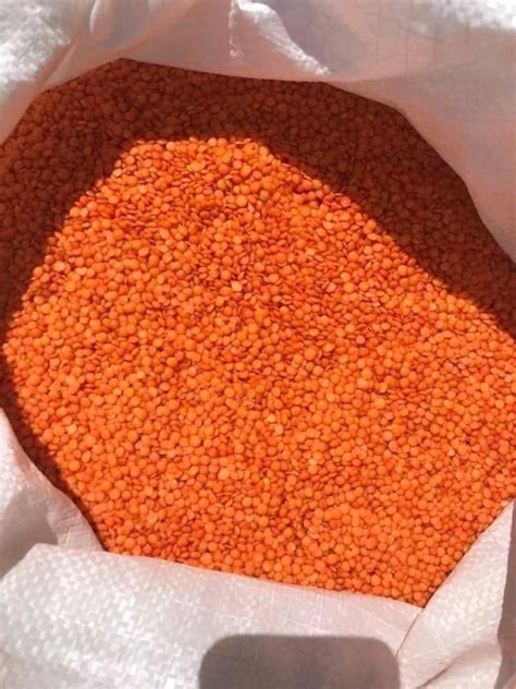 Export Domestic Natural Red Masoor Dal For Cooking Packaging Type