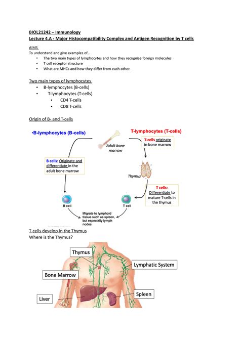 Lecture 4.A - Major Histocompatibility Complex and Antigen Recognition by T cells - BIOL21242 ...