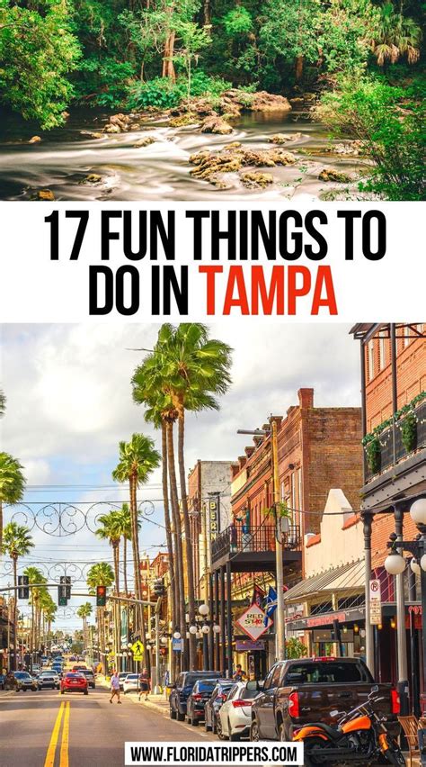 Things To Do In Tampa Bay Artofit