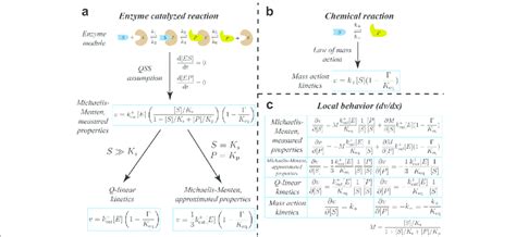 Comparison Of Rate Laws And Their Resulting First Derivatives A