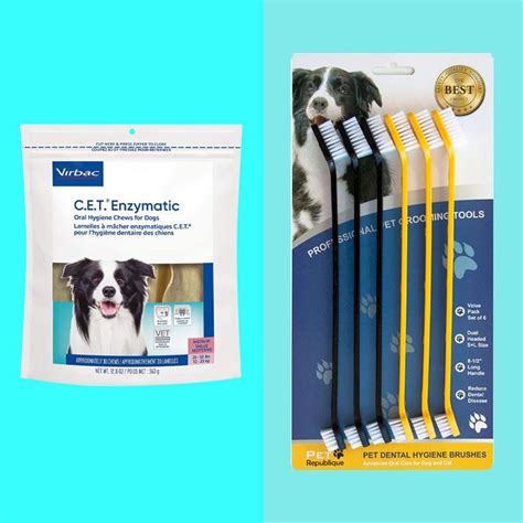 9 Dog Dental-Care Products: How to Brush Dogs’ Teeth 2023 | The Strategist