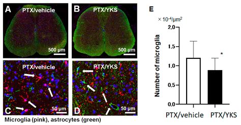 Medicina Free Full Text The Serotonin Mediated Anti Allodynic Effect Of Yokukansan On