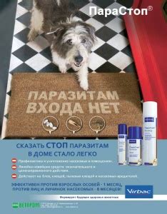 ПАРАСТОП – НОВОЕ ОРУЖИЕ ДЛЯ ЗАЩИТЫ ВАШЕГО ДОМА ОТ БЛОХ И НАСЕКОМЫХ ...