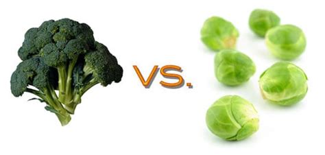 Comparing Brussels Sprouts And Broccoli Popsugar Fitness