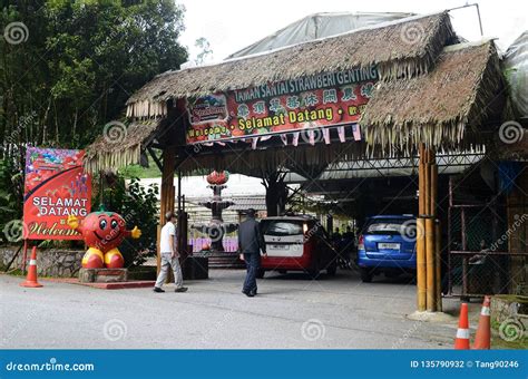 Strawberry Leisure Farm At Genting Highlands Malaysia Editorial