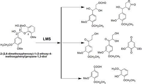 Frontiers Lignin Biodegradation With Laccase Mediator Systems