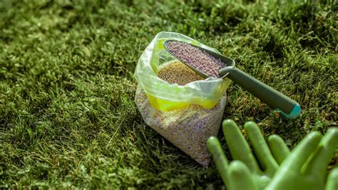 Granular Fertilizer: The Key to a Lush, Green Lawn — Terra Lawn Care ...