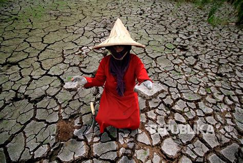 Dampak Perubahan Iklim Di Indonesia