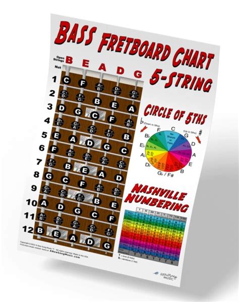 5 String Bass Fretboard Instructional Chart Poster Look Nashville Numbering Circ Ebay