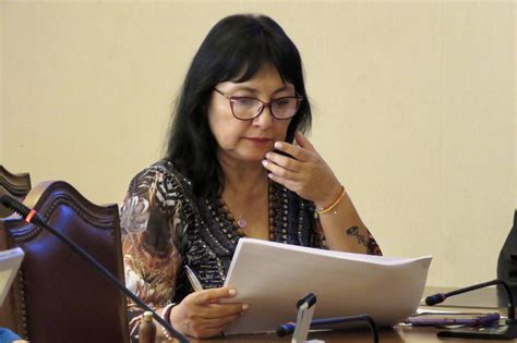 Diputada Marzán ofició a ministerios de Medioambiente y Salud para que