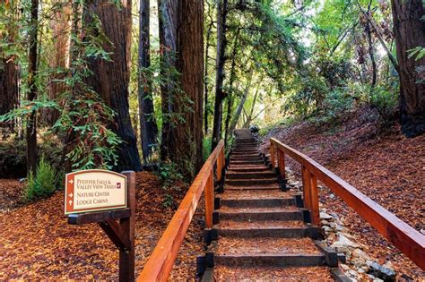 Pfeiffer Big Sur State Park Camping Guide Beyond The Tent