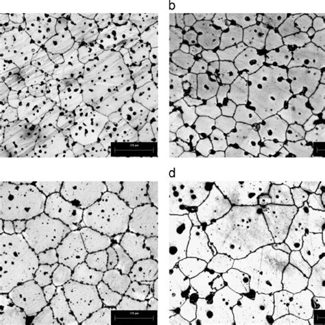 Optical Micrographs Of 316l And 316l Additions Samples Sintered At