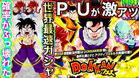 【ドッカンバトル】確率がぶっ壊れたpuが激熱新悟飯フェス開幕〇〇連だぁぁああー！！！！【ガーリックjr】【dokkan