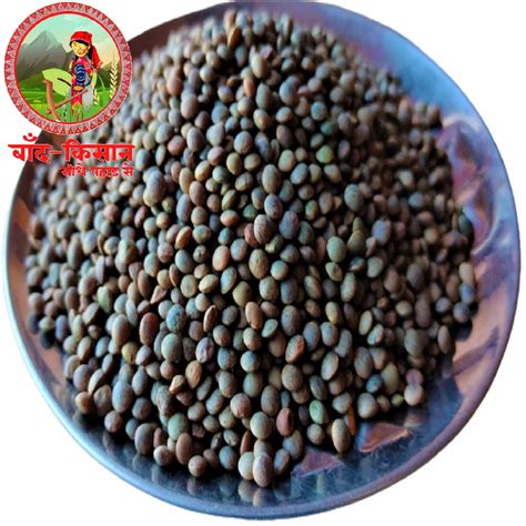 Black Brown Lentil Masoor Dal Uttarakhand S Packaging Size G At