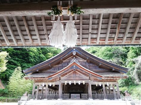 【229〆切】3月1日金曜日60日に一度の甲子の日のお参りツアー あなたと神さま＆神社のご縁繋ぎサポーター 神社ナビゲーターむっちゃん