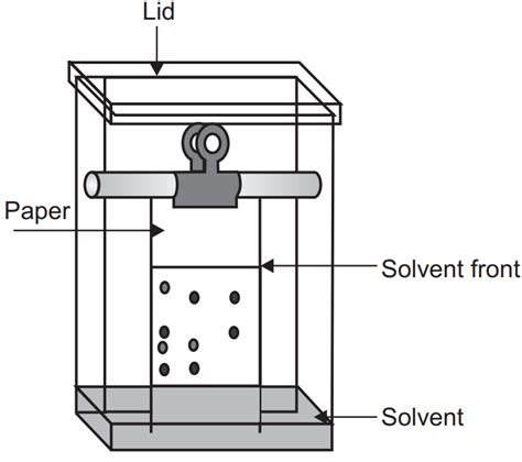 Paper Chromatography Diagram