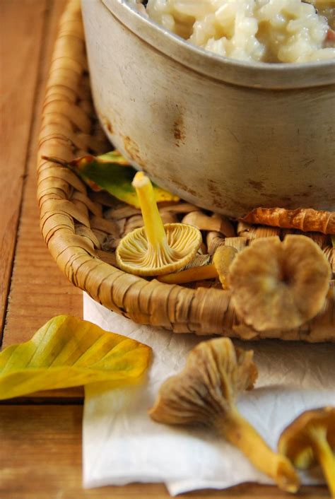 Risotto Aux Champignons Des Bois Recette Tangerine Zest