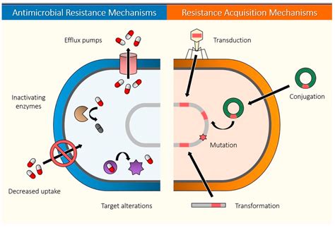 Biomedicines | Free Full-Text | Tackling Antibiotic Resistance with ... 