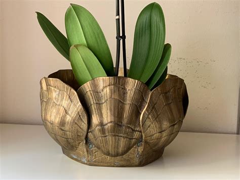 Large Brass Sea Shell Planter At Stdibs Brass Shell Planter Large