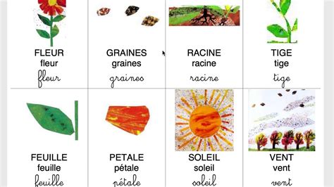 Vocabulaire Une Si Petite Graine In The Creator