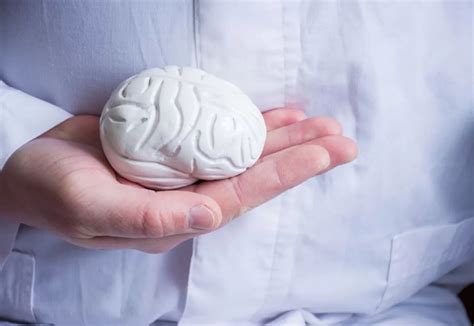 Ecco Perch Coltivare La Riserva Cognitiva Sanihelp It