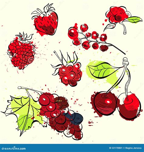 Fruit and Berries Illustration Stock Vector - Illustration of ...