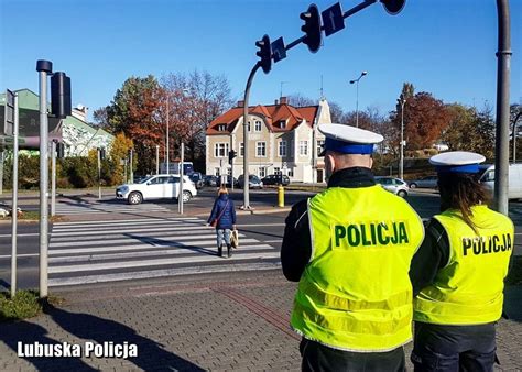 Mamy problem na pasach Więcej potrąceń winni są kierowcy