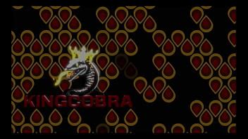 King Cobra Owns This Pussy XVIDEOS