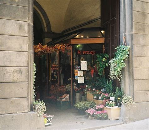 fioraio | december 14, siena | hazel | Flickr