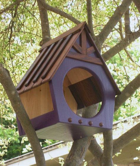 Blue Jay Nesting Box Plans