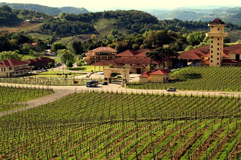Av Dos Vinhedos - Vale dos Vinhedos – Enoturismo atrai turistas para o Sul do país – Você ...