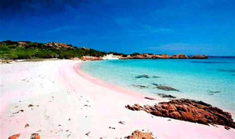Fantastic Pink Sand Beaches and Where to Find Them