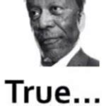 true morgan freeman Meme Generator - Imgflip