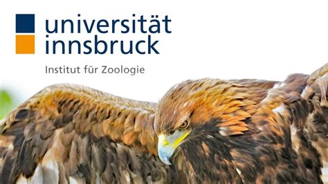 Herzlich Willkommen auf dem Kanal des Instituts für Zoologie der