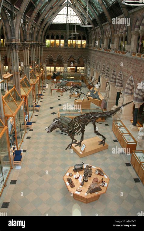 Oxford Museum of Natural History, view of the main ground floor gallery ...