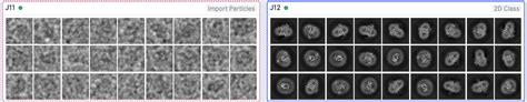 Cryoem 冷冻电镜聚类中心2d Class粒子图像的解析2d Class Avergae Csdn博客