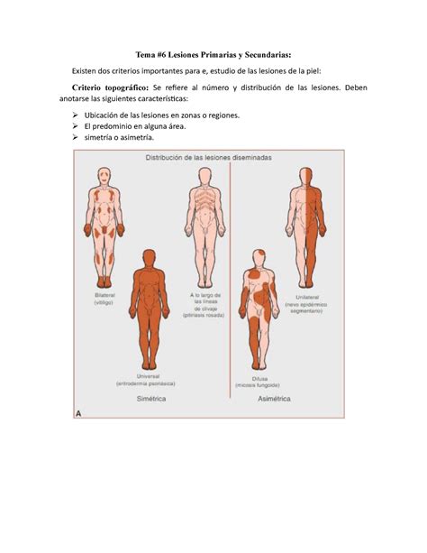 Tema Lesiones Primarias Y Secundarias De La Piel Tema Lesiones