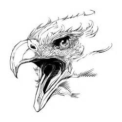 Bald Eagle Head Drawing at GetDrawings | Free download