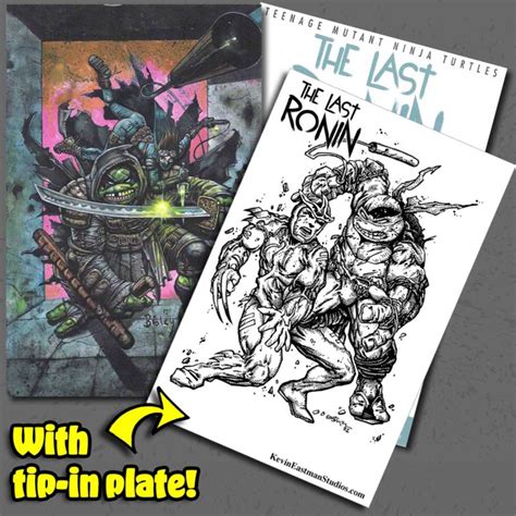 The Last Ronin Issue Eastman Studios Exclusive Bisley Eastman