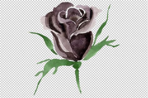 Black Rose Flower Watercolor Graphic By Mystocks · Creative Fabrica