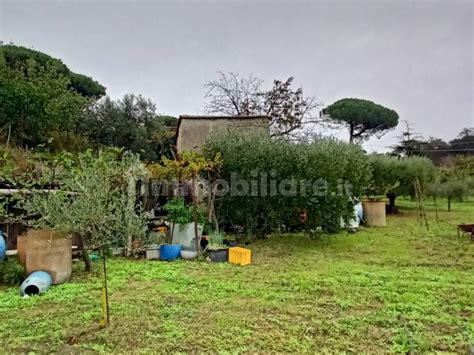 Terreno Agricolo Via Castagnole Di Sopra Marino Rif 107612295