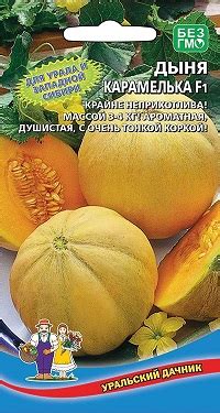 ДЫНЯ