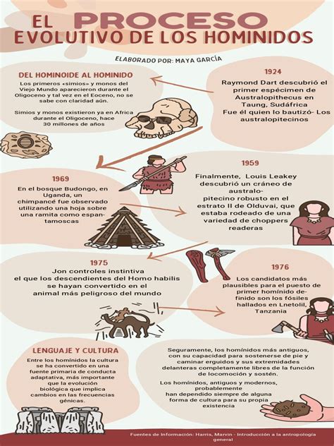 Línea Del Tiempo Del Proceso Evolutivo De Los Hominidos Maya García Pdf Evolución Hominidae