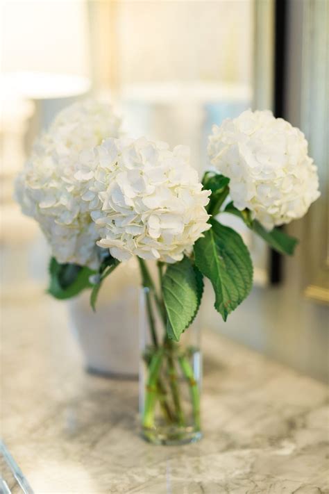 Hydrangea Cut Flowers Care - HOW TO KEEP CUT HYDRANGEAS FROM WILTING ...