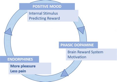 Endorphins and mood. Pleasure and pain - Neuroquotient