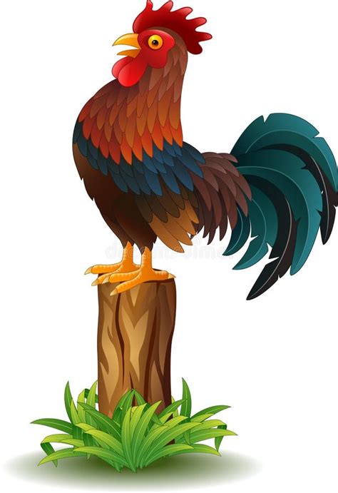 Cute Rooster Cartoon Stock Vector Illustration Of Cartoon