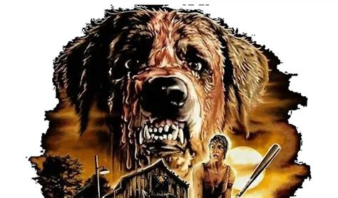 Stephen King's Next Book Features a Cujo Sequel