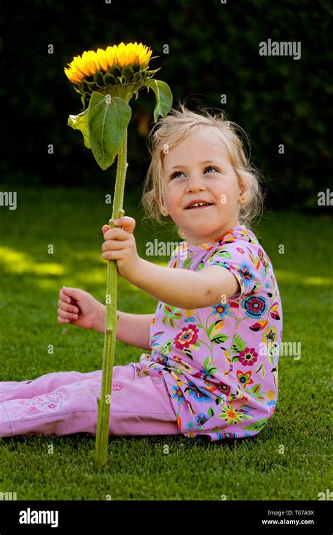 little girl with sunflower Stock Photo - Alamy