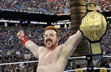 Wwe World Heavyweight Champion Sheamus